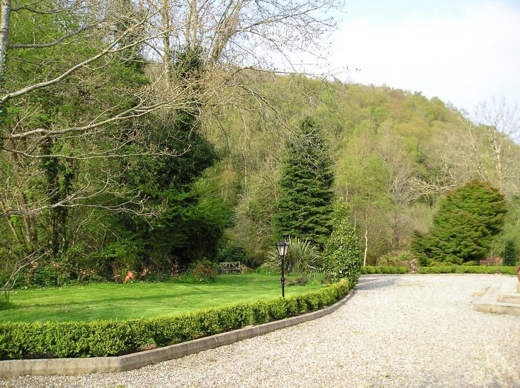 Hanora's Cottage Guesthouse&Restaurant Ballymacarbry Extérieur photo